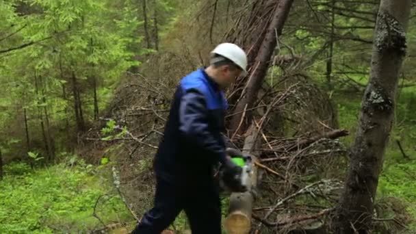 Hombre con motosierra trabajando en el bosque — Vídeo de stock