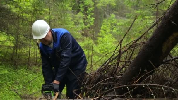 Hombre con motosierra trabajando en el bosque — Vídeo de stock