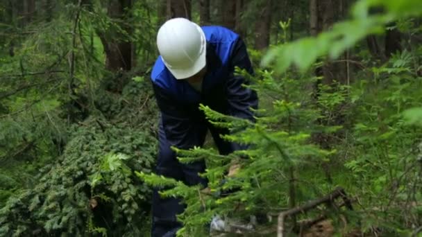 Homme avec tronçonneuse travaillant dans la forêt — Video