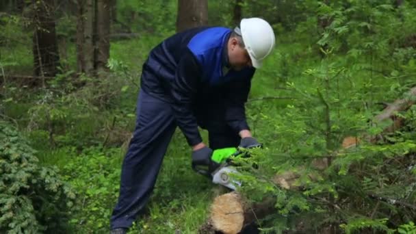 Hombre con motosierra trabajando en el bosque — Vídeo de stock