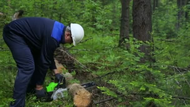 チェーンソーの男が森で働いてる — ストック動画
