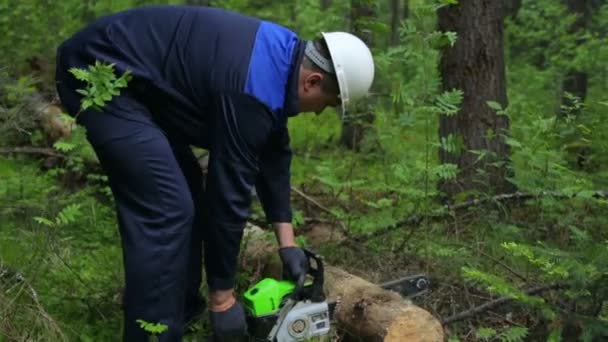 Hombre con motosierra trabajando en el bosque — Vídeo de stock