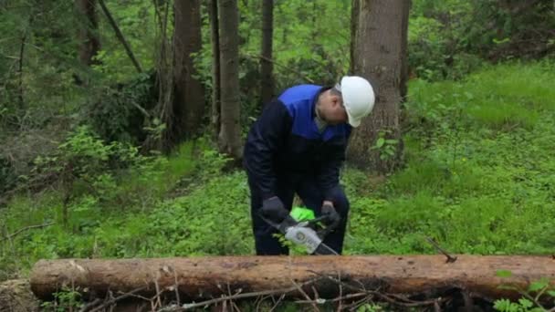 Человек с бензопилой работает в лесу — стоковое видео