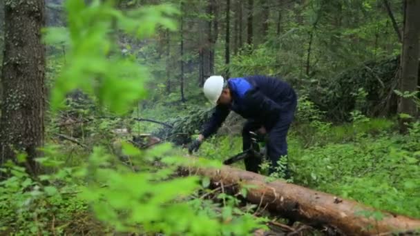 Człowiek z piłą łańcuchową pracujący w lesie — Wideo stockowe