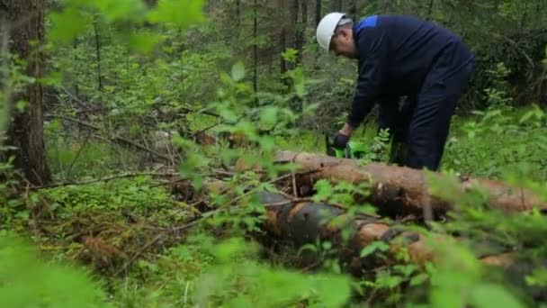 Hombre con motosierra trabajando en el bosque — Vídeos de Stock