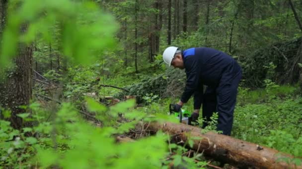 Uomo con motosega che lavora nella foresta — Video Stock