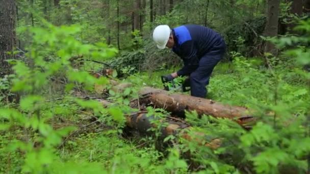 Homem com motosserra trabalhando na floresta — Vídeo de Stock