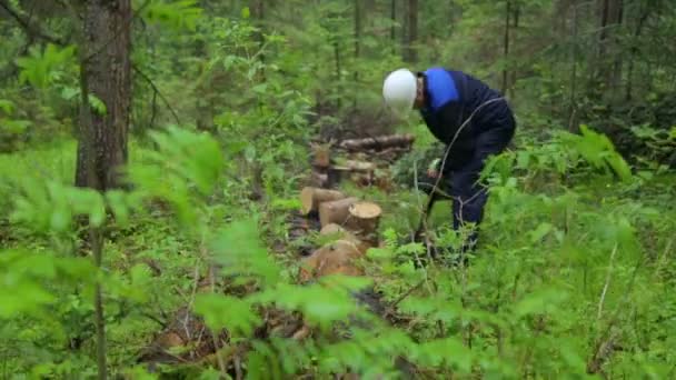 Homem com motosserra trabalhando na floresta — Vídeo de Stock