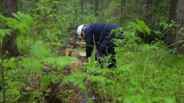 Mann mit Kettensäge arbeitet im Wald — Stockvideo