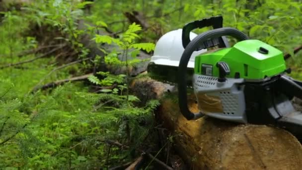 Motosserra e capacete no log na floresta — Vídeo de Stock
