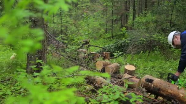 Mann mit Kettensäge arbeitet im Wald — Stockvideo