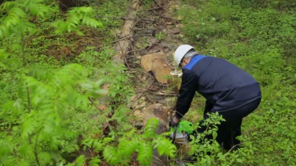 Людина з бензопилою, що працює в лісі — стокове відео