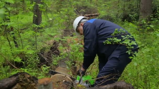 Mann mit Kettensäge arbeitet im Wald — Stockvideo