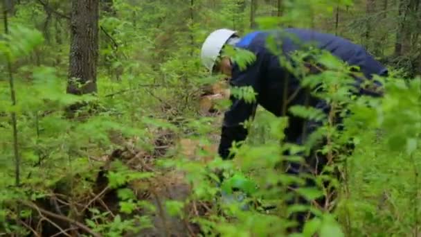 Man med motorsåg arbetar i skogen — Stockvideo