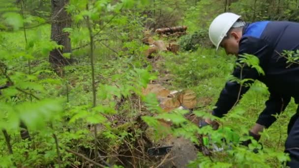 Man med motorsåg arbetar i skogen — Stockvideo