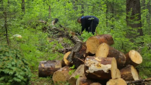 Muž s motorovou pilou pracující v lese — Stock video