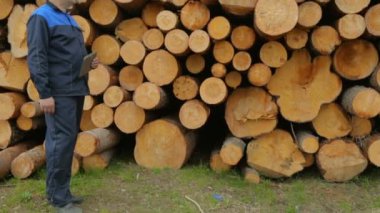 Tablet bilgisayarı olan işçi büyük kütüklerin yanında duruyor.