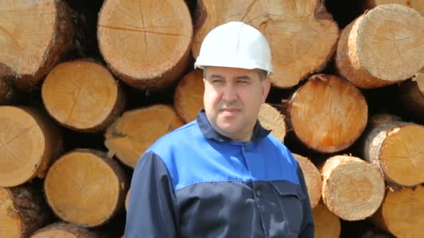 Trabajador contra montón de troncos — Vídeos de Stock