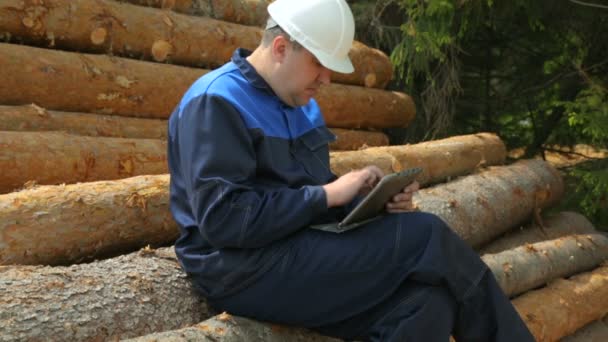 Trabalhador com tablet PC sentado na pilha de logs — Vídeo de Stock