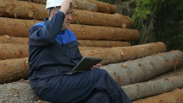 Arbeiter mit Tablet-PC sitzt auf Holzstapel — Stockvideo