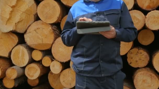 Trabalhador com tablet PC contra pilha de logs — Vídeo de Stock