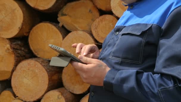 Worker with tablet PC against pile of logs — Stock Video