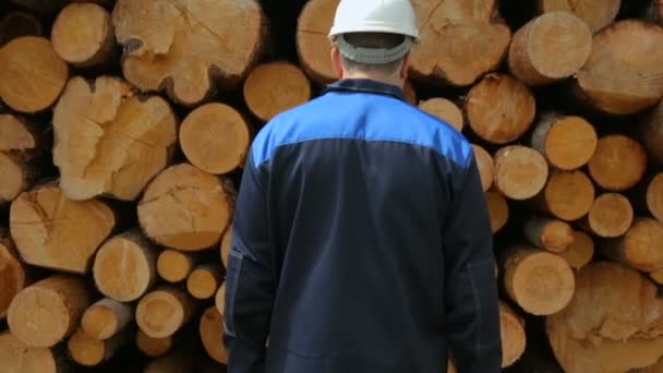 Arbeiter steht in der Nähe großer Stapel Baumstämme — Stockvideo