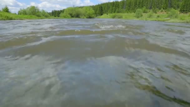 Corrente rápida de rio em dia de verão — Vídeo de Stock