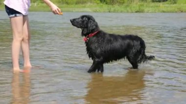 Nehirde köpeğiyle oynayan bir kız.