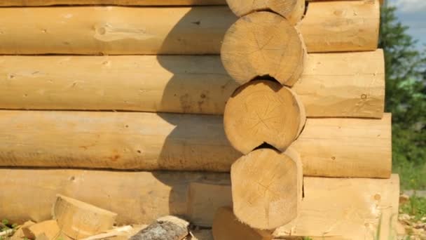 Wooden timberwork in forest — Stock Video