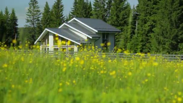 Maison individuelle en forêt — Video