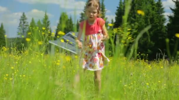 Liten flicka plockar blommor på ängen — Stockvideo