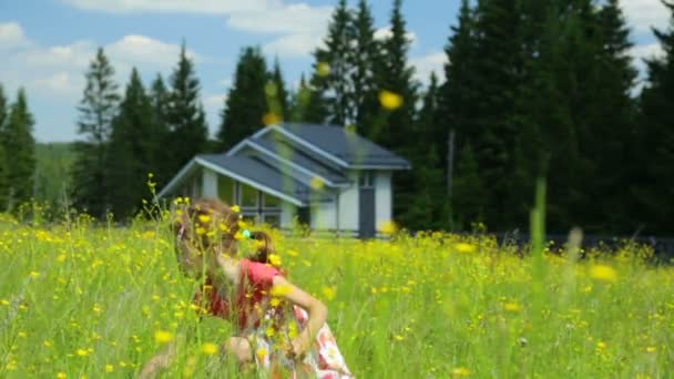 Holčička sbírá květiny na louce — Stock video