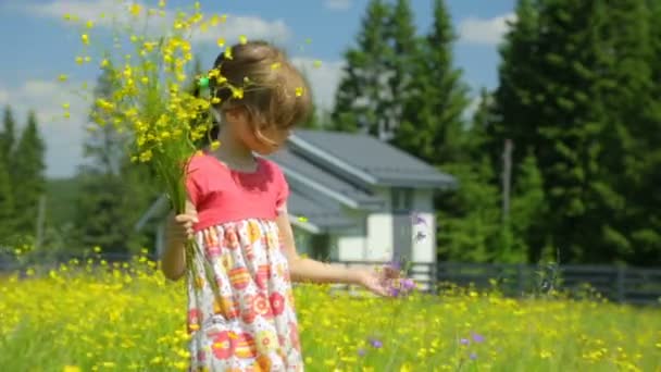 Маленька дівчинка з жовтими квітами на лузі — стокове відео