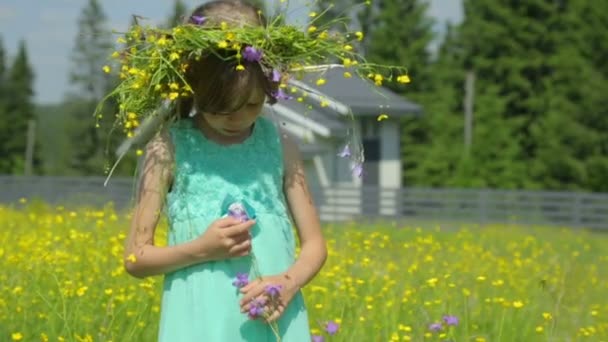 草原で花輪を持つ女の子 — ストック動画