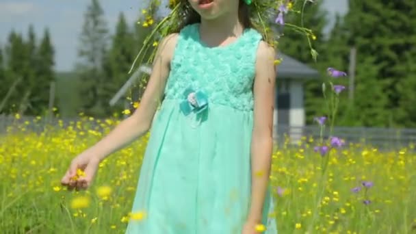 Dziewczynka z wieńcem na łące — Wideo stockowe