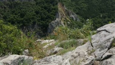 Bulgaristan 'daki dağ manzarası