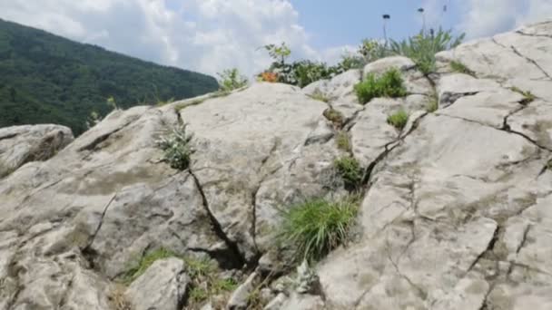 Berglandschap in Bulgarije — Stockvideo