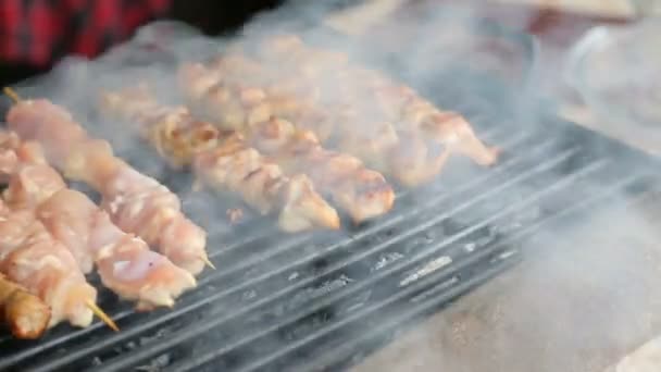 Shashliks frying on grille — Stock Video