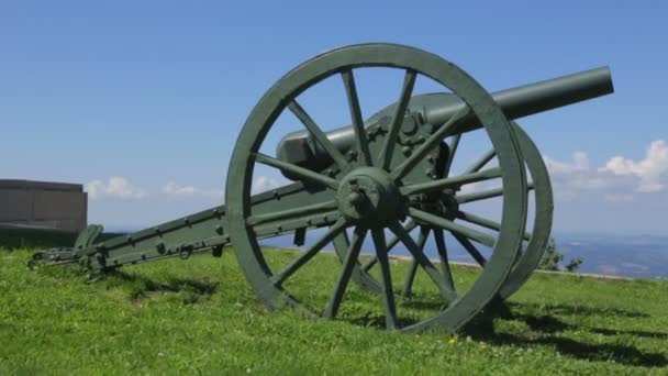 Old cannon situated by monument — Stock Video