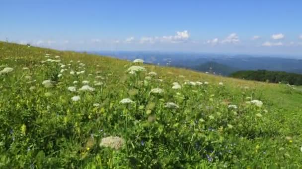 Красивый пейзаж в Балканских горах — стоковое видео