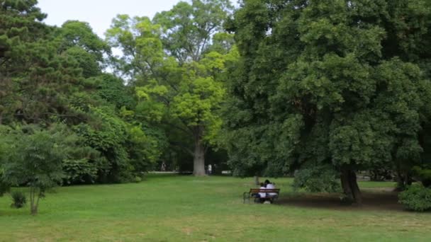 People resting in public park — Stock Video