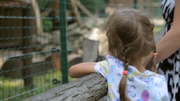 Meisje met moeder in dierentuin — Stockvideo