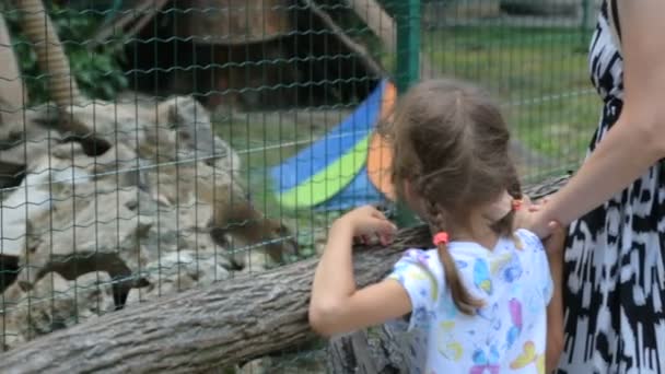 Gadis kecil dengan ibu di kebun binatang — Stok Video
