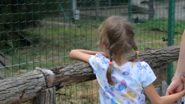 Little girl with mother in zoo — Stock Video