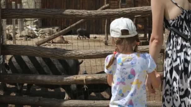 Liten flicka med mamma i djurparken — Stockvideo