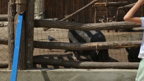 Niña con madre en el zoológico — Vídeo de stock