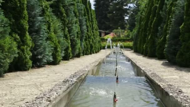 Fuente en cascada en jardín botánico — Vídeos de Stock