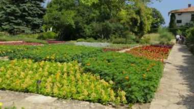 Botanik bahçesindeki bitkiler