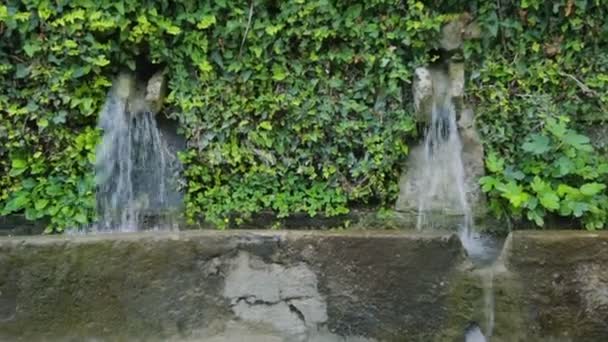 Botanik bahçesindeki duvar çeşmesi — Stok video